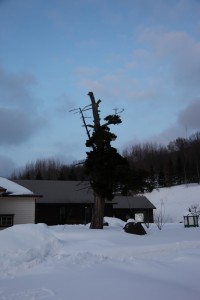 abashiri 010