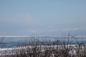 abashiri 151