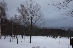 abashiri 034