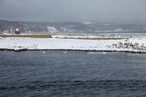 abashiri 098