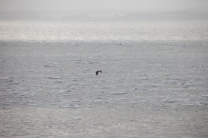 abashiri 114