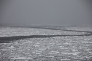 abashiri 117