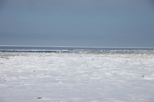 abashiri 161