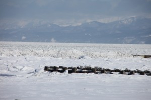 abashiri 163