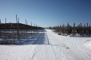 abashiri 183