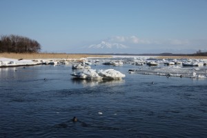 abashiri 194