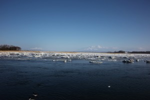 abashiri 203