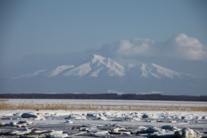abashiri 204