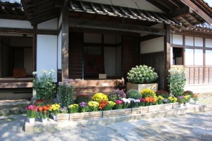 bandai aizu 025