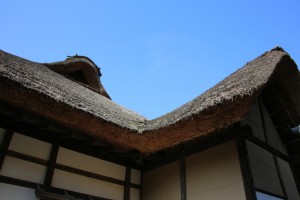 bandai aizu 033