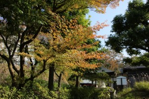 bandai aizu 036