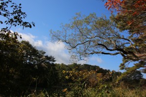bandai aizu 092