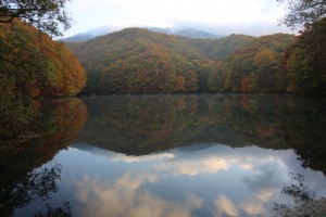 朝靄の曲沢沼