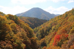 中津川渓谷