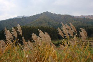 bandai aizu 059