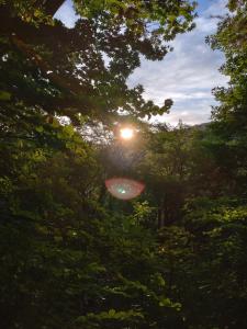 aizukoma 011
