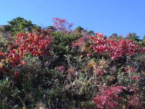 aizukoma 040