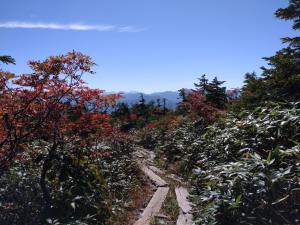 aizukoma 092