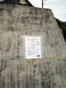 ajisaiyama 011