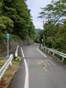 ajisaiyama 012