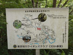 ajisaiyama 013