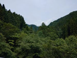 ajisaiyama 015