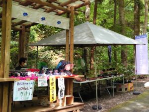 ajisaiyama 022