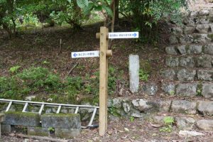 ajisaiyama 039