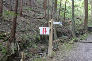 ajisaiyama 057