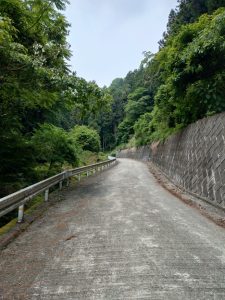 ajisaiyama 081
