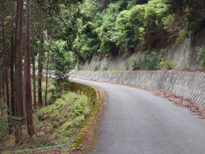 ajisaiyama 084