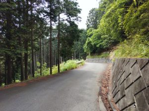 ajisaiyama 085