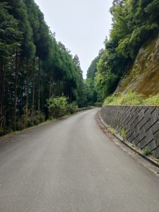 ajisaiyama 086