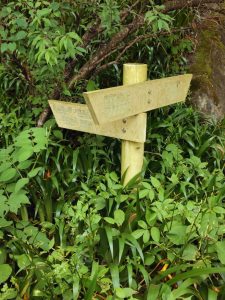 ajisaiyama 088