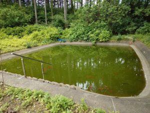 ajisaiyama 091