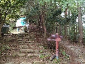 ajisaiyama 112