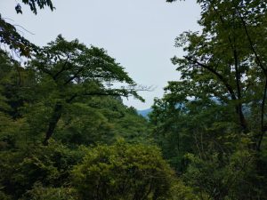 ajisaiyama 116