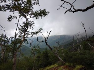 akadake 049