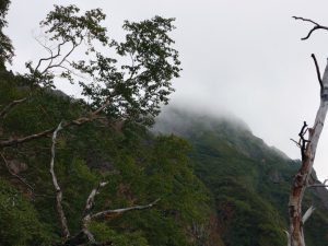 akadake 050