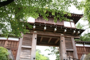 akita1 0010