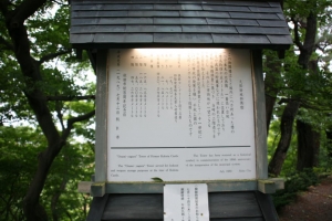 akita1 0016