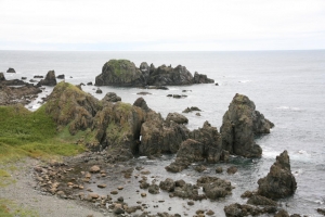 akita2 0008