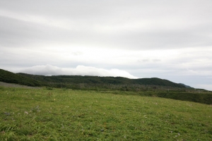 akita2 0024