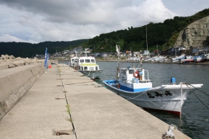 akita2 0034