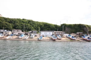 akita2 0035