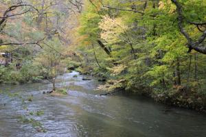 aomori oirase 006