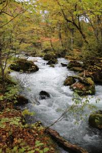 aomori oirase 011