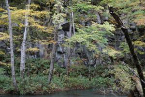 aomori oirase 023