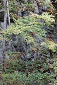 aomori oirase 024