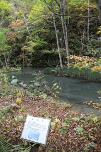 aomori oirase 025